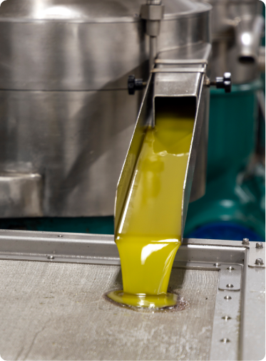 Fresh olive oil, from our own mill.
